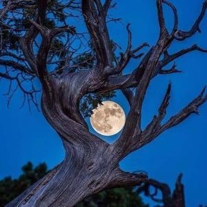 Meet your Posher, Jan v.